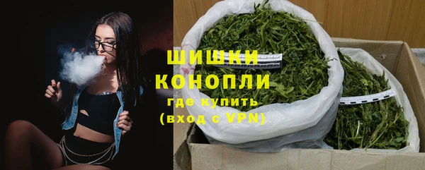 стаф Осташков