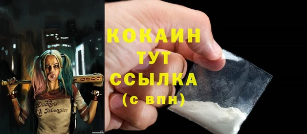 стаф Осташков