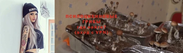кристаллы Осинники